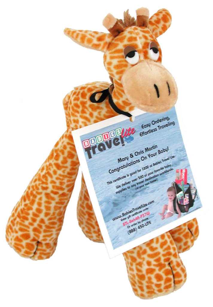 $100 gift certificate to Babies Travel Lite